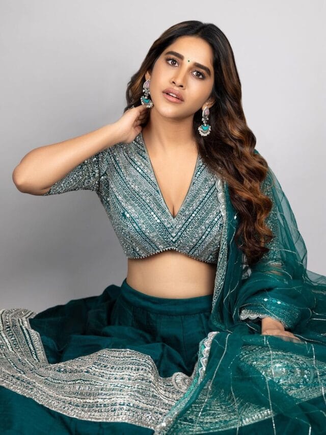 Nabha Natesh New Photoshoot