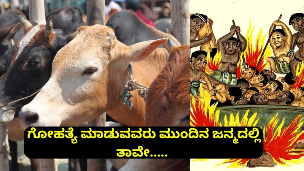 Holy Cow Hinduism