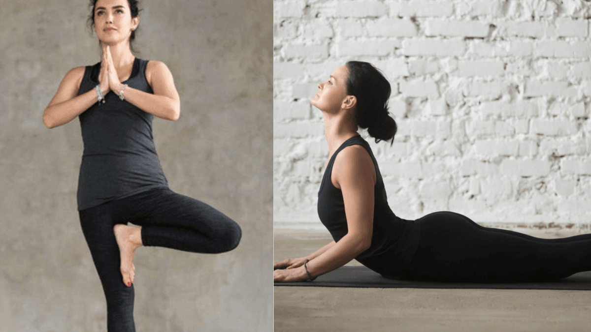 ನೀವು ಆರೋಗ್ಯವಾಗಿರಲು ಈ ಯೋಗಾಸನಗಳನ್ನು ಮಾಡಿ । Yogasana 2023