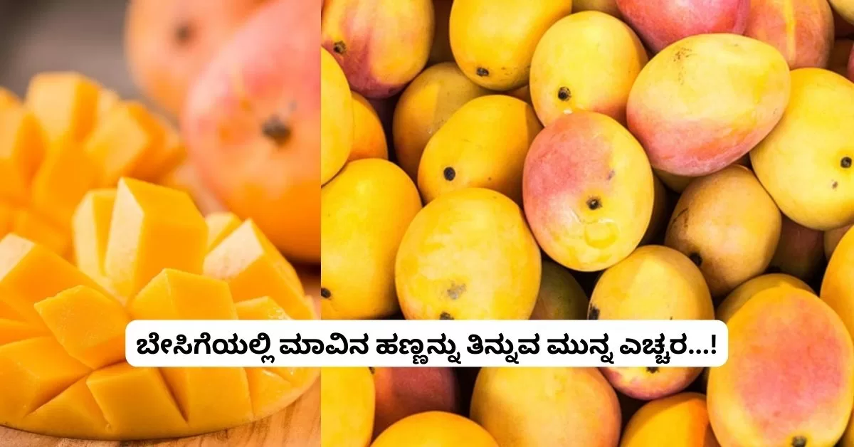 ಬೇಸಿಗೆಯಲ್ಲಿ ಮಾವಿನ ಹಣ್ಣನ್ನು ತಿನ್ನುವ ಮುನ್ನ ಎಚ್ಚರ...!