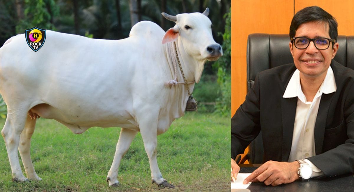 ದೇಸಿ ಹಸುಗಳ ಗೋಮೂತ್ರದಲ್ಲಿರುವ ಔಷದೀಯ ಗುಣಗಳನ್ನು ಕೊಂಡಾಡಿದ ಐಐಟಿ ಮದ್ರಾಸ್ ನಿರ್ದೇಶಕ