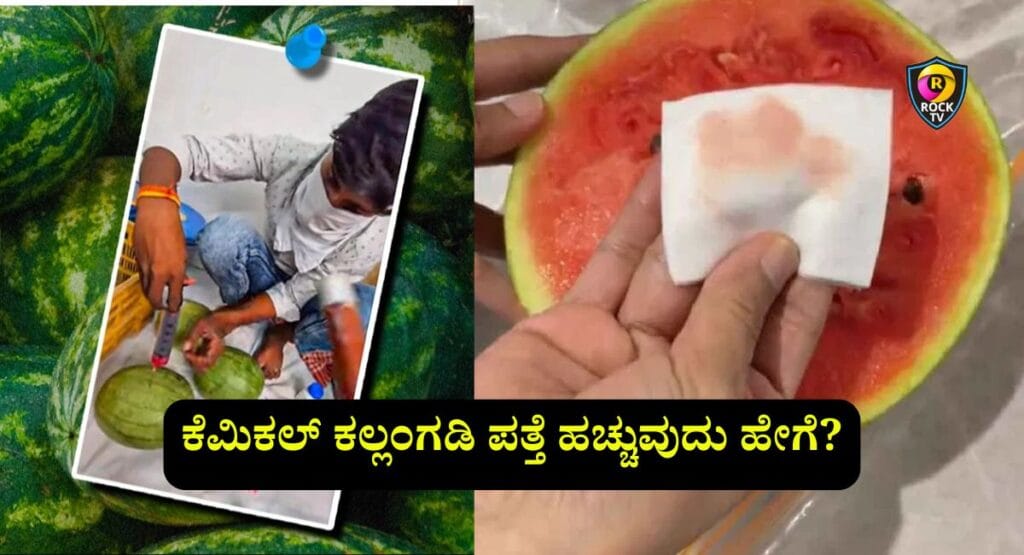 fake watermelon kannada