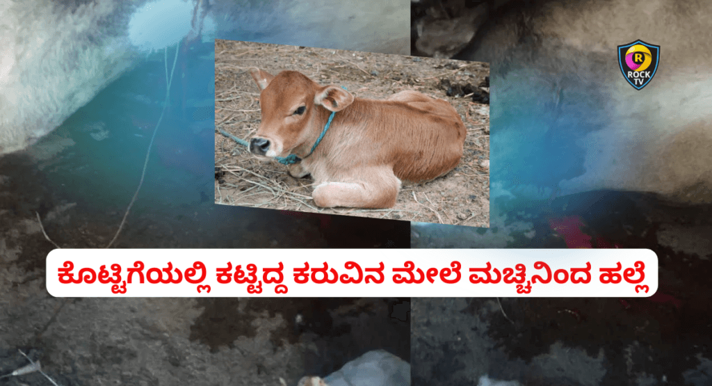 ಕೊಟ್ಟಿಗೆಯಲ್ಲಿ ಕಟ್ಟಿದ್ದ ಕರುವಿನ ಮೇಲೆ ಮಚ್ಚಿನಿಂದ ಹಲ್ಲೆ