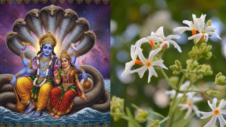 Parijatha yoga 2025